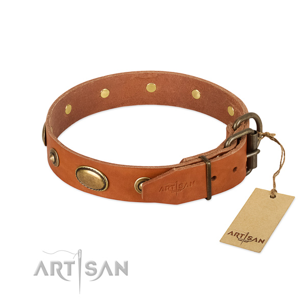 Rust-proof adornments on full grain natural leather dog collar for your pet