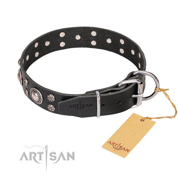 Basic training studded dog collar of top quality full grain natural leather