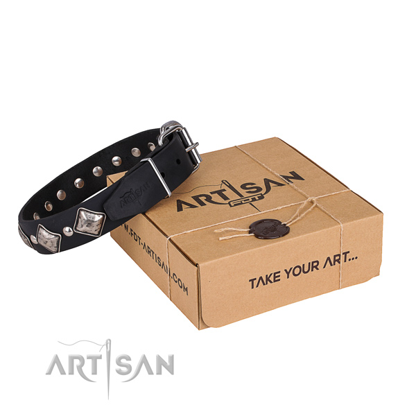 Stylish walking dog collar of durable full grain leather with decorations