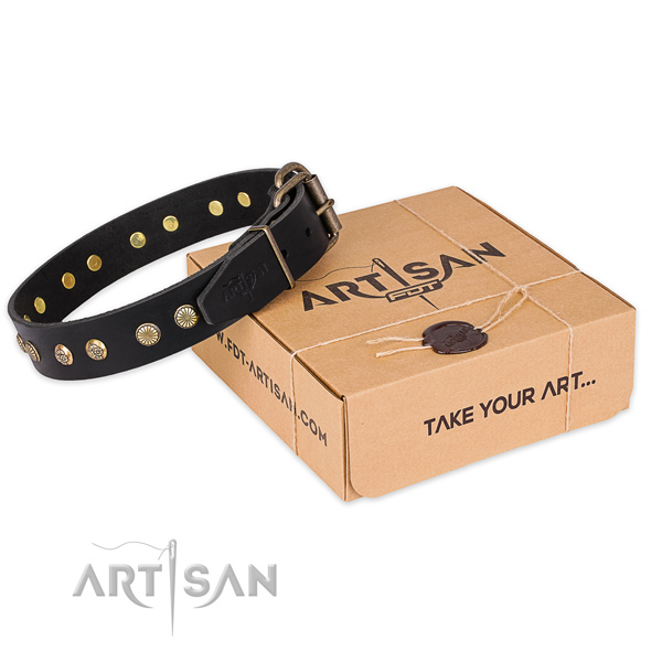 Durable D-ring on leather collar for your beautiful pet