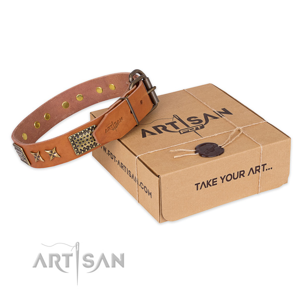 Reliable buckle on full grain leather collar for your lovely canine