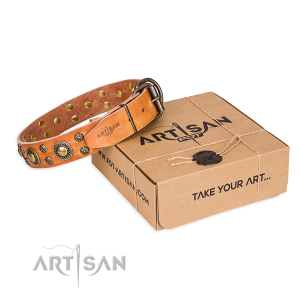 Daily use dog collar of top quality natural leather with decorations
