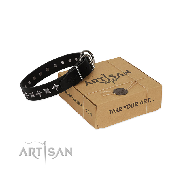 Everyday use dog collar of strong leather with decorations