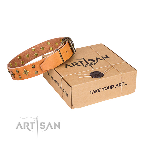 Daily use dog collar of top notch full grain leather with studs