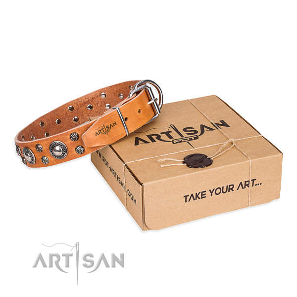 Everyday use dog collar of top notch genuine leather with decorations
