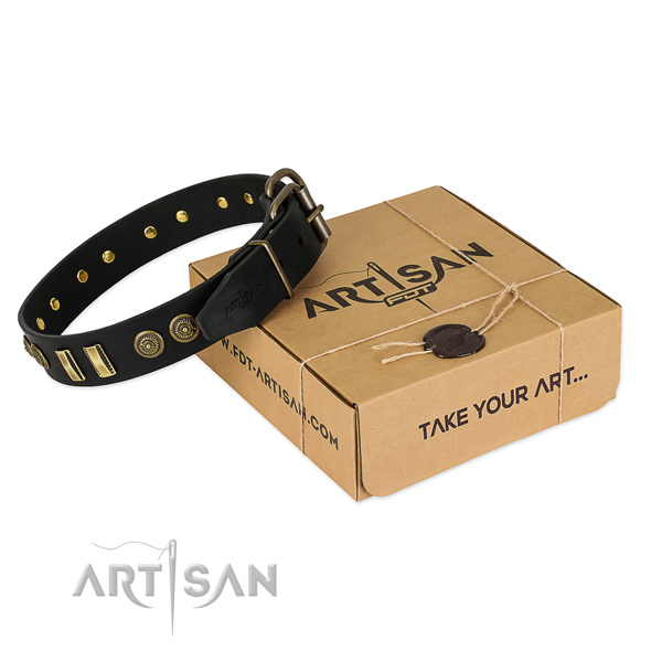 Durable decorations on full grain natural leather dog collar for your dog