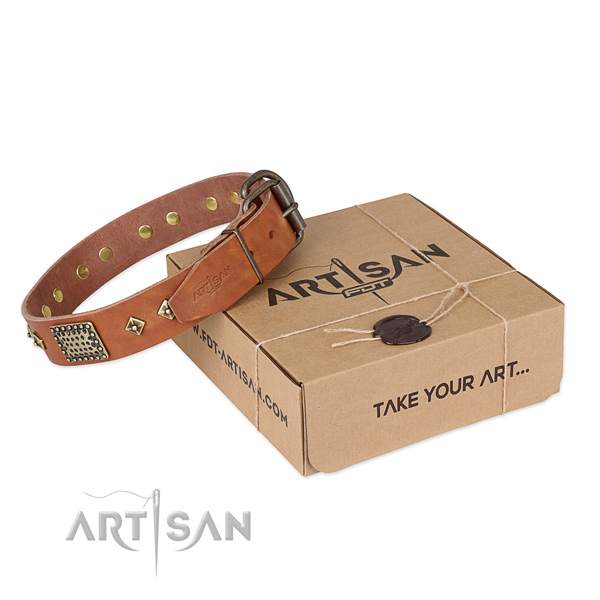 Exceptional leather collar for your attractive pet