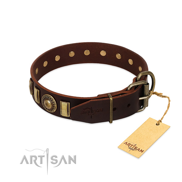 Stylish leather dog collar with rust-proof traditional buckle