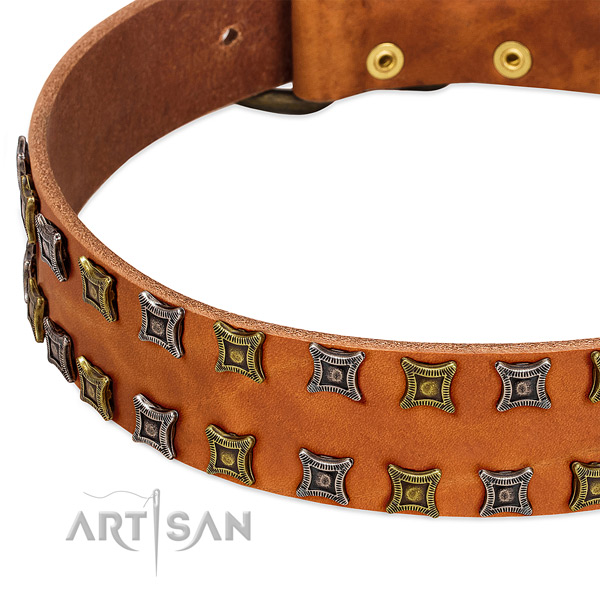 Best quality genuine leather dog collar for your stylish pet