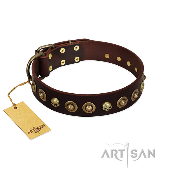 Full grain genuine leather collar with significant adornments for your dog