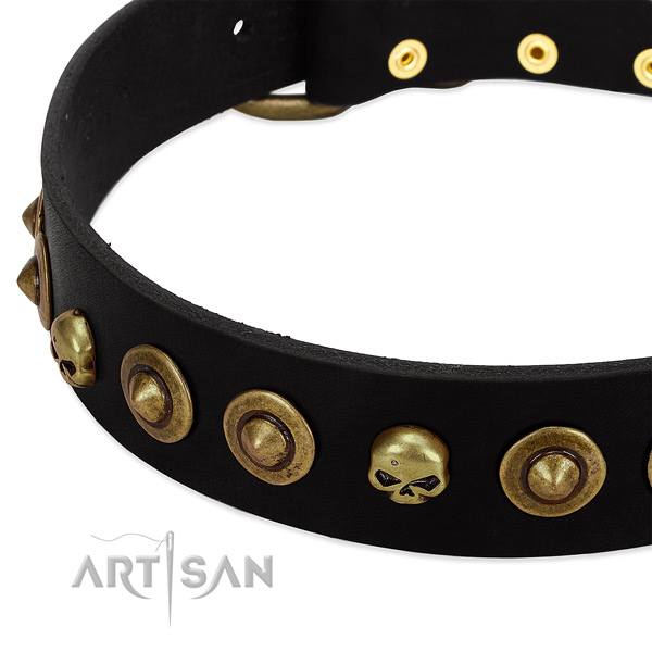 Stunning studs on full grain leather collar for your four-legged friend