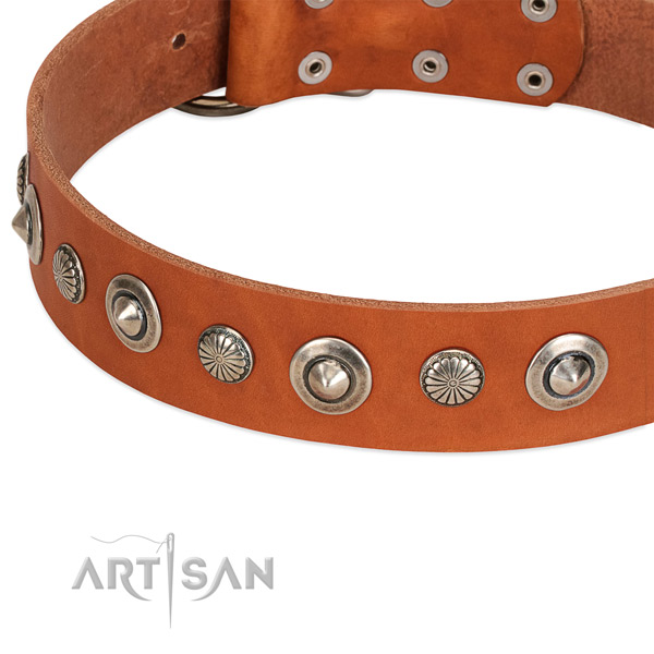 Natural leather collar with corrosion resistant fittings for your stylish dog