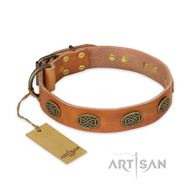Unusual full grain leather dog collar with corrosion resistant fittings