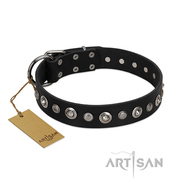 Fine quality genuine leather dog collar with remarkable studs
