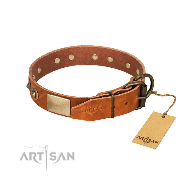 Corrosion resistant embellishments on full grain leather dog collar for your four-legged friend