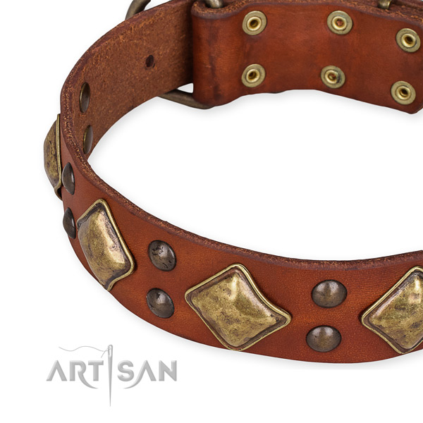 Full grain leather collar with reliable fittings for your attractive canine