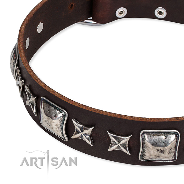 Comfortable wearing decorated dog collar of durable full grain leather