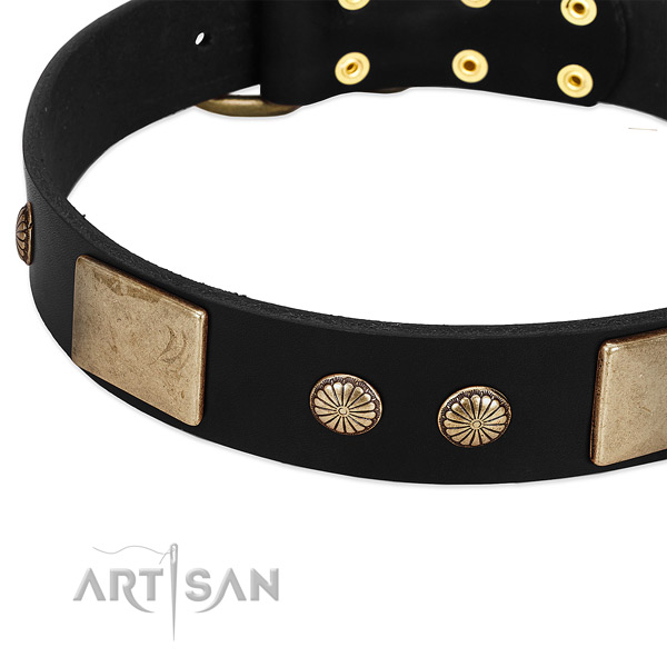 Leather dog collar with studs for daily use