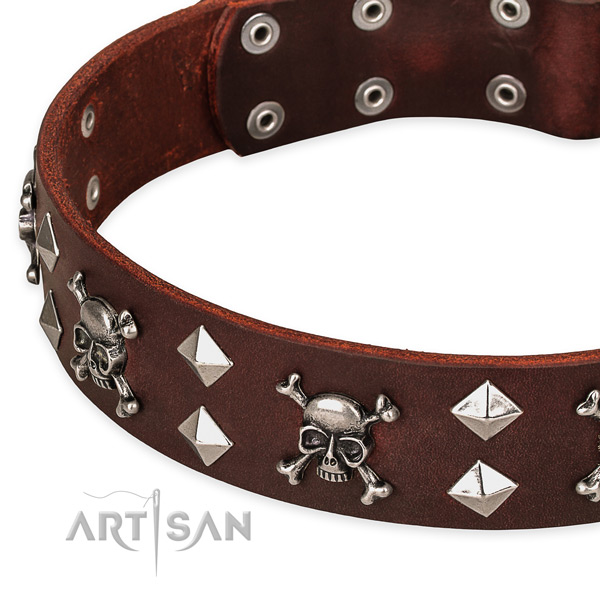 Everyday walking decorated dog collar of top quality full grain leather