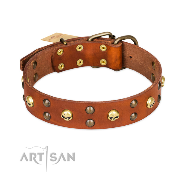 Basic training dog collar of durable full grain leather with embellishments
