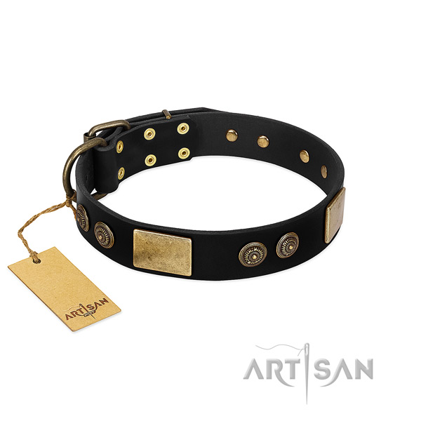 Strong studs on full grain leather dog collar for your four-legged friend