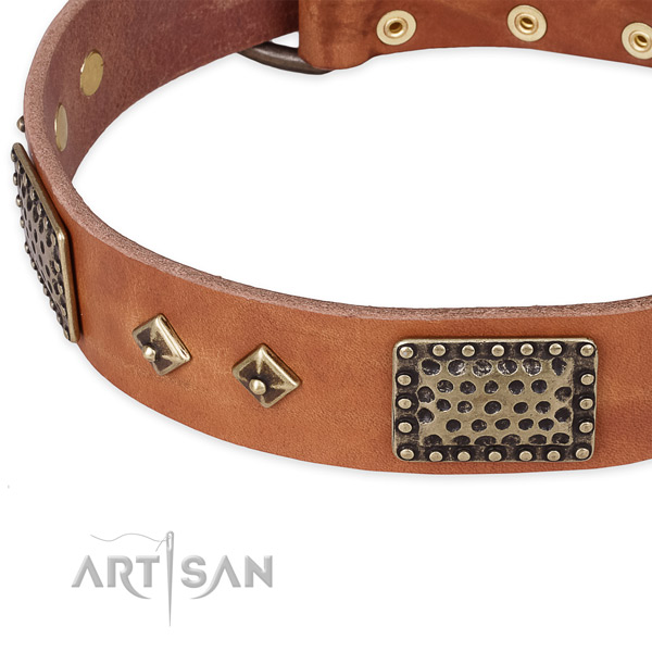 Rust resistant embellishments on natural leather dog collar for your doggie