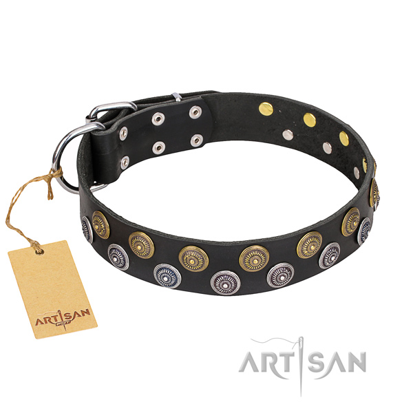 Stylish walking dog collar of fine quality full grain leather with decorations