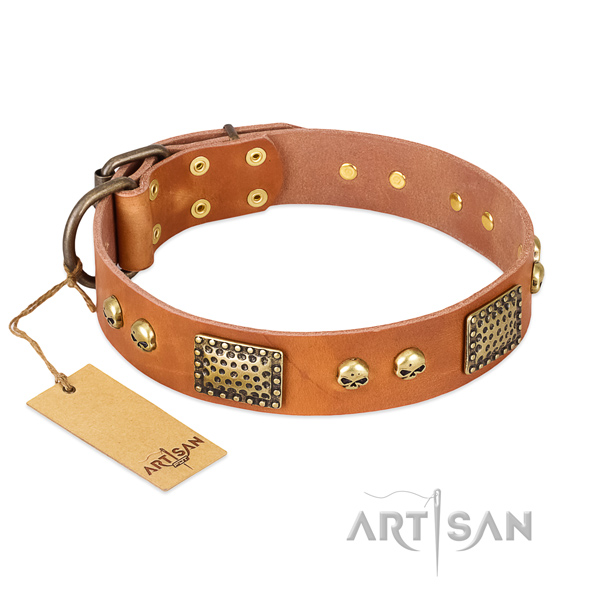 Easy to adjust full grain leather dog collar for stylish walking your four-legged friend