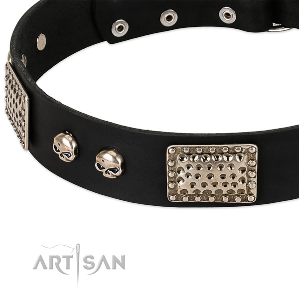 Reliable embellishments on natural genuine leather dog collar for your pet
