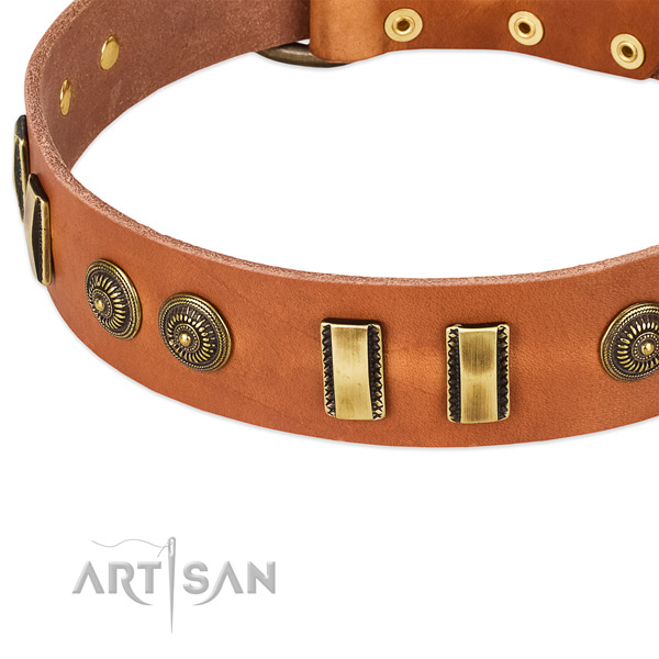 Reliable studs on full grain genuine leather dog collar for your dog