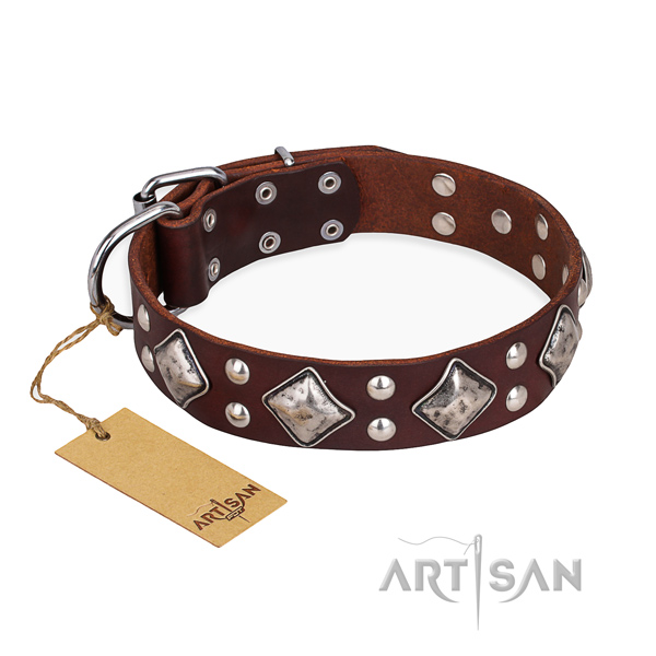 Fancy walking handcrafted dog collar with rust-proof D-ring