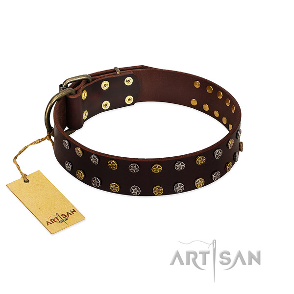 Daily walking top notch natural leather dog collar with adornments