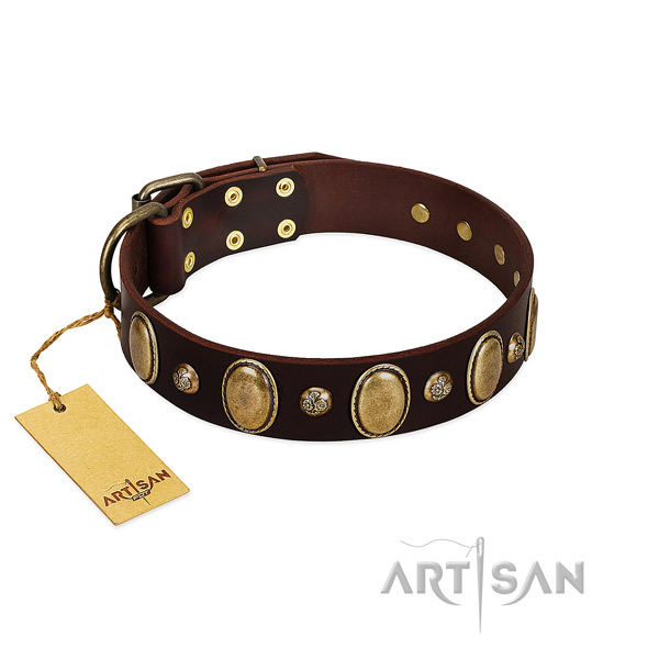 Natural leather dog collar of top notch material with inimitable decorations