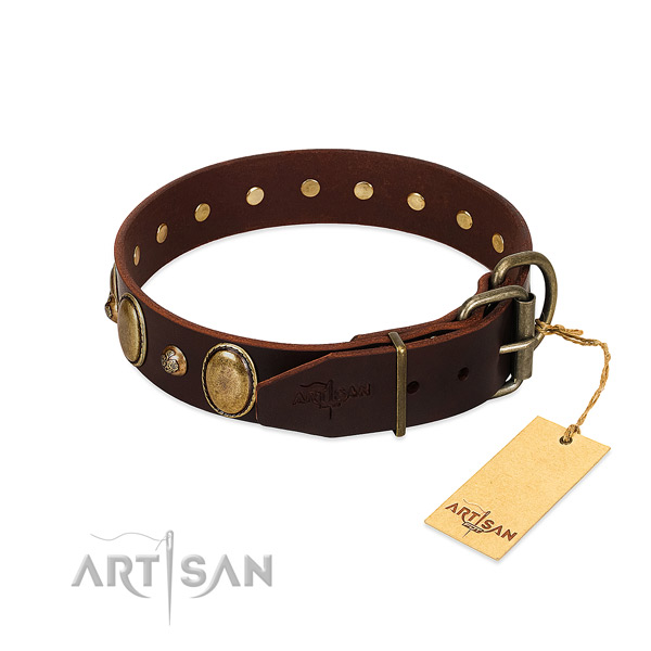 Durable hardware on leather collar for stylish walking your doggie