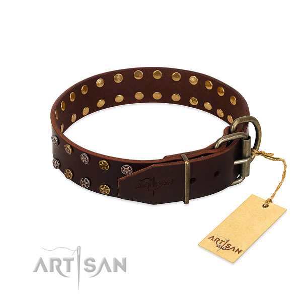 Fancy walking leather dog collar with awesome embellishments