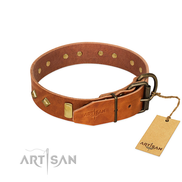 Comfortable wearing full grain leather dog collar with extraordinary studs