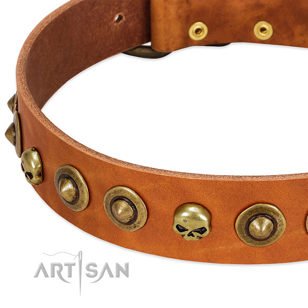 Impressive studs on full grain genuine leather collar for your dog