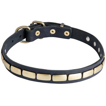 Walking Leather Collar with Brass Decoration for Mastiff
