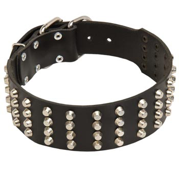 2 Inches Leather   Mastiff Collar Extra Wide Studded