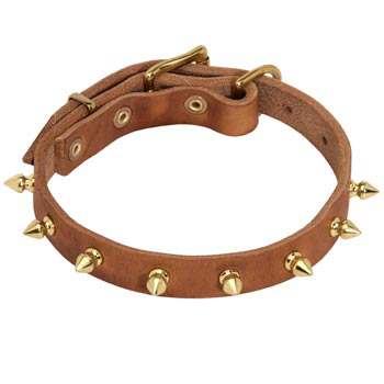 Designer Leather Collar for Mastiff