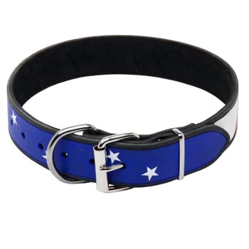 Mastiff Leather Collar With American  Flag Painting