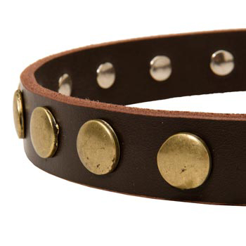 Designer Leather Dog Collar for Walking Mastiff