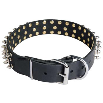 Spiked Buckle Collar for Mastiff