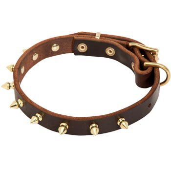 Leather Mastiff Collar with Brass Spikes