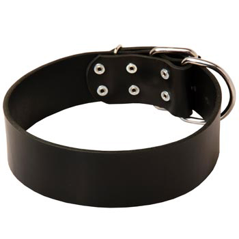 Leather Mastiff Collar for Control During Walking
