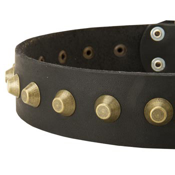 Leather Dog Collar with Brass Pyramids for Mastiff