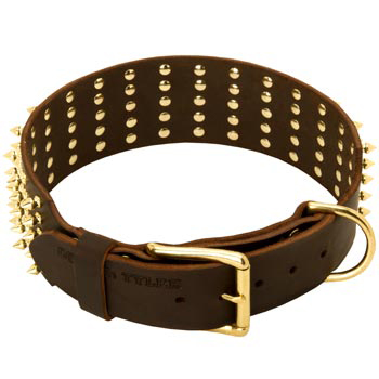 Leather Mastiff Collar with Solid Buckle and D-ring