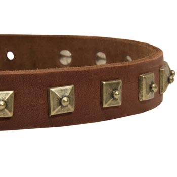 Mastiff Leather Collar With Square  Studs