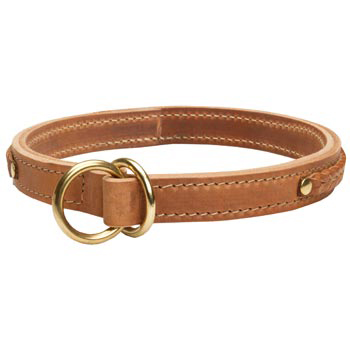  2 Ply Leather Choke Collar for Mastiff