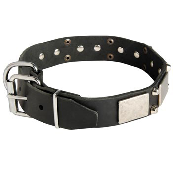 Leather Buckle Collar for Mastiff Walking